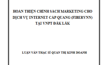 Hoàn thiện chính sách Marketing cho dịch vụ Internet cáp quang (FiberVNN) tại VNPT Đắk Lắk