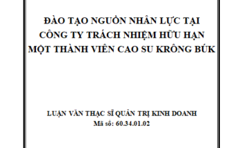 Đào tạo nguồn nhân lực tại Công ty trách nhiệm hữu hạn một thành viên cao su Krong Búk