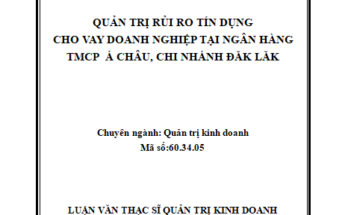 Quản trị rủi ro tín dụng cho vay doanh nghiệp tại ngân hàng TMCP Á Châu Chi nhánh Đăk Lăk