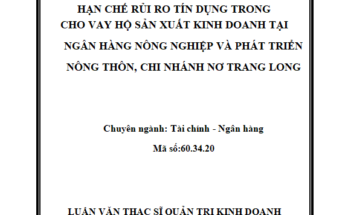 Hạn chế rủi ro tín dụng trong cho vay hộ sản xuất kinh doanh tại Ngân hàng Nông nghiệp và Phát triển Nông thôn chi nhánh Nơ Trang Long