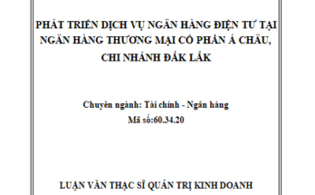 PHÁT TRIỂN DỊCH VỤ NGÂN HÀNG ĐIỆN TỬ TẠI NGÂN HÀNG THƯƠNG MẠI CỔ PHẦN Á CHÂU CHI NHÁNH ĐẮK LẮK