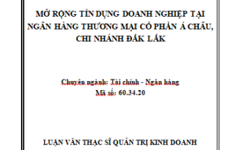 Mở rộng tín dụng doanh nghiệp tại Ngân hàng thương mại cổ phần Á Châu Chi nhánh Đắk Lắk