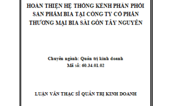 Hoàn thiện hệ thống kênh phân phối sản phẩm Bia tại Công ty cổ phần Thương Mại Bia Sài Gòn Tây Nguyên