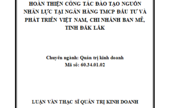 Hoàn thiện công tác đào tạo nguồn nhân lực tại chi nhánh Ban Mê-Ngân hàng TMCP Đầu tư & Phát triển Việt Nam