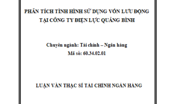 Phân tích tình hình sử dụng vốn lưu động tại Công ty Điện lực Quảng Bình