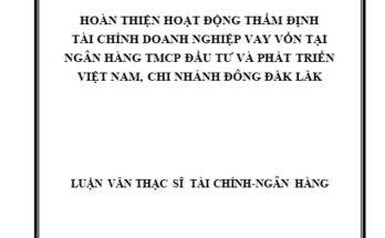 HOÀN THIỆN HOẠT ĐỘNG THẨM ĐỊNH TÀI CHÍNH DOANH NGHIỆP VAY VỐN TẠI NGÂN HÀNG TMCP ĐẦU TƯ VÀ PHÁT TRIỂN VIỆT NAM CHI NHÁNH ĐÔNG ĐĂK LĂK