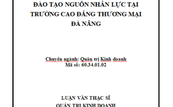 Đào tạo nguồn nhân lực tại trường Cao đẳng Thương mại Đà Nẵng