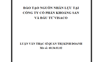 Đào tạo nguồn nhân lực tại Công ty cổ Phần khoáng sản và đầu tư Visaco