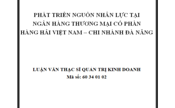 Phát triển nguồn nhân lực tại Ngân hàng thương mại cổ phần Hàng hải Việt Nam – Chi nhánh Đà Nẵng