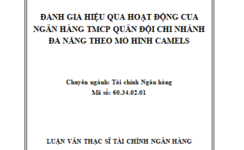 Đánh giá hiệu quả hoạt động của ngân hàng TMCP Quân đội chi nhánh Đà Nẵng theo mô hình CAMELS