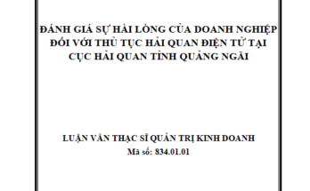 Đánh giá sự hài lòng của doanh nghiệp đối với thủ tục hải quan điện tử tại Cục Hải quan tỉnh Quảng Ngãi