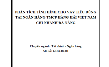 Phân tích tình hình Cho vay tiêu dùng tại Ngân hàng TMCP Hàng Hải Việt Nam - chi nhánh Đà Nẵng