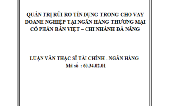 Quản trị rủi ro tín dụng trong cho vay doanh nghiệp tại Ngân hàng thương mại cổ phần Bản Việt - Chi nhánh Đà Nẵng