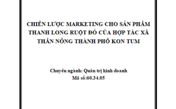 CHIẾN LƯỢC MARKETING CHO SẢN PHẨM THANH LONG RUỘT ĐỎ CỦA HỢP TÁC XÃ THẦN NÔNG THÀNH PHỐ KON TUM