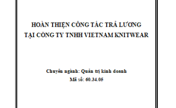 Hoàn thiện công tác trả lương tại công ty TNHH Vietnam Knitwear