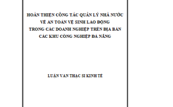 Hoàn thiện công tác quản lý Nhà nước về an toàn vệ sinh lao động trong các doanh nghiệp trên địa bàn các Khu công nghiệp Đà Nẵng
