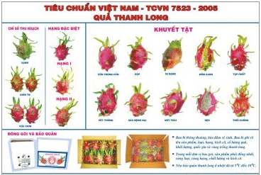 CHIẾN LƯỢC MARKETING CHO SẢN PHẨM THANH LONG RUỘT ĐỎ CỦA HỢP TÁC XÃ THẦN NÔNG THÀNH PHỐ KON TUM