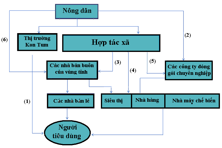 CHIẾN LƯỢC MARKETING CHO SẢN PHẨM THANH LONG RUỘT ĐỎ CỦA HỢP TÁC XÃ THẦN NÔNG THÀNH PHỐ KON TUM