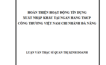 Hoàn thiện hoạt động tín dụng Xuất nhập khẩu tại Ngân hàng TMCP Công Thương Việt Nam Chi nhánh Đà Nẵng