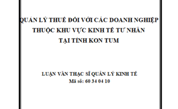 Quản lý thuế đối với các doanh nghiệp thuộc khu vực kinh tế tư nhân tại tỉnh Kon Tum