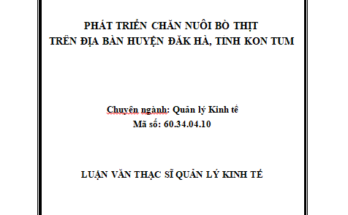 Phát triển chăn nuôi bò thịt trên địa bàn huyện Đăk Hà tỉnh Kon Tum