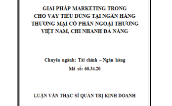 Giải pháp marketing trong cho vay tiêu dùng tại Ngân hàng Thương mại cổ phần Ngoại Thương Việt Nam