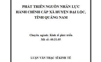 Phát triển nguồn nhân lực hành chính cấp xã tại huyện Đại Lộc tỉnh Quảng Nam
