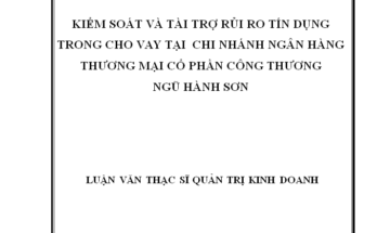 Kiểm soát và tài trợ rủi ro tín dụng trong cho vay tại Chi nhánh NHTMCP Công thương Ngũ Hành Sơn