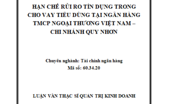 Hạn chế rủi ro tín dụng trong cho vay tiêu dùng tại ngân hàng TMCP Ngoại thương Việt Nam