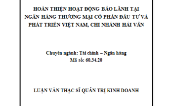 Hoàn thiện hoạt động bảo lãnh tại Ngân hàng TMCP Đầu tư và Phát triển Việt Nam – Chi nhánh Hải Vân