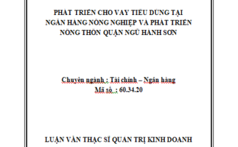 Phát triển cho vay tiêu dùng tại Ngân hàng Nông nghiệp và phát triển Nông thôn Quận Ngũ Hành Sơn