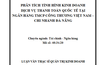 PHÂN TÍCH TÌNH HÌNH KINH DOANH DỊCH VỤ THANH TOÁN QUỐC TẾ TẠI NGÂN HÀNG TMCP CÔNG THƯƠNG VIỆT NAM