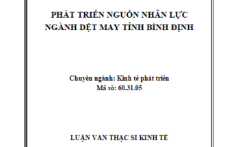 Phát triển nguồn nhân lực ngành dệt may tỉnh Bình Định