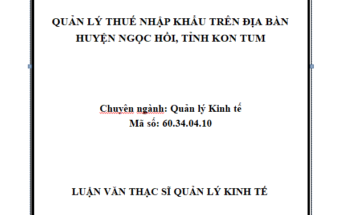 Quản lý thuế nhập khẩu trên địa bàn huyện Ngọc Hồi