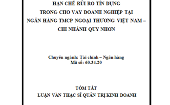 Hạn chế rủi ro tín dụng trong cho vay doanh nghiệp tại ngân hàng TMCP Ngoại thương Việt Nam – Chi nhánh Quy Nhơn