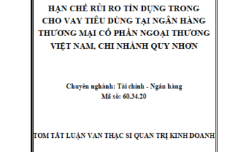 Hạn chế rủi ro tín dụng trong cho vay tiêu dùng tại ngân hàng TMCP Ngoại thương Việt Nam