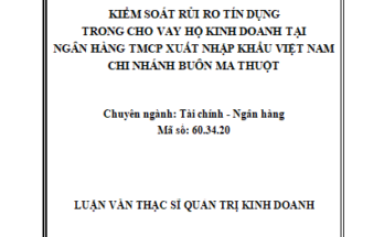 Kiểm soát rủi ro tín dụng trong cho vay hộ kinh doanh tại Ngân hàng TMCP Xuất nhập khẩu Việt Nam - chi nhánh Buôn Ma Thuột