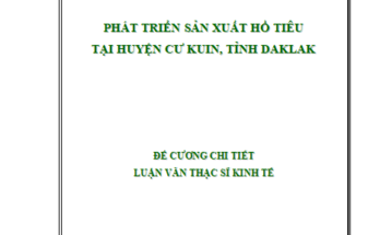Phát triển sản xuất hồ tiêu tại huyện Cư Kuin tỉnh Đăk Lăk