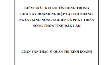 Kiểm soát rủi ro tín dụng trong cho vay doanh nghiệp tại Ngân hàng Nông Nghiệp và Phát triển Nông thôn Tỉnh Đăk Lăk