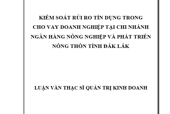Kiểm soát rủi ro tín dụng trong cho vay doanh nghiệp tại Ngân hàng Nông Nghiệp và Phát triển Nông thôn Tỉnh Đăk Lăk