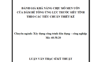 CỦA DẦM BÊ TÔNG ỨNG LỰC TRƯỚC SIÊU TĨNH THEO CÁC TIÊU CHUẨN THIẾT KẾ