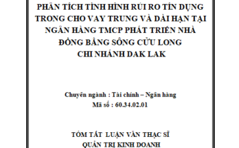 Phân tích tình hình rủi ro tín dụng trong cho vay trung và dài hạn tại Ngân hàng TMCP phát triển nhà Đồng bằng sông Cửu Long chi nhánh Đắk Lắk"