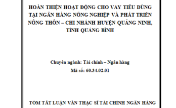 Hoàn thiện hoạt động cho vay tiêu dùng tại Ngân hàng Nông nghiệp và Phát triển Nông thôn Việt Nam