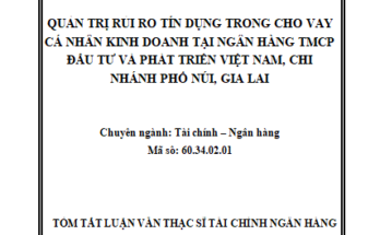 Quản trị rủi ro tín dụng trong cho vay cá nhân kinh doanh tại Ngân hàng TMCP Đầu Tư và Phát triển Việt Nam