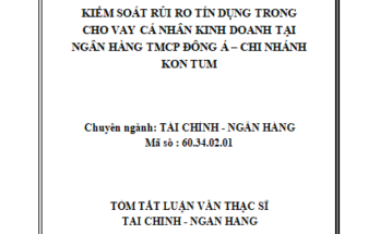 Kiểm soát rủi ro tín dụng trong cho vay cá nhân kinh doanh tại Ngân hàng thương mại cổ phần Đông Á
