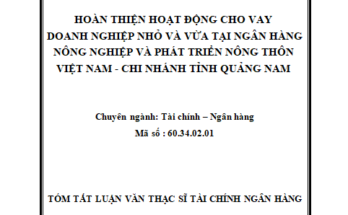 Hoàn thiện hoạt động cho vay doanh nghiệp nhỏ và vừa tại Ngân hàng Nông nghiệp và Phát triển Nông thôn Việt Nam