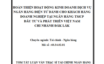 Hoàn thiện hoạt động kinh doanh dịch vụ NHĐT dành cho KHDN tại Ngân hàng TMCP Đầu tư và Phát triển Việt Nam – Chi nhánh Đắk Lắk