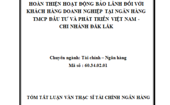 Hoàn thiện hoạt động bảo lãnh đối với KHDN tại Chi nhánh Ngân hàng TMCP Đầu tư và Phát triển Đắk Lắk