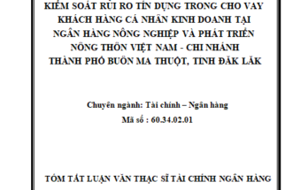 Kiểm soát rủi ro tín dụng trong cho vay khách hàng cá nhân kinh doanh tại Ngân hàng Nông nghiệp và Phát triển nông thôn Việt Nam
