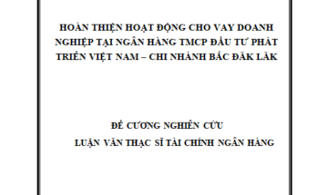 Hoàn thiện hoạt động cho vay doanh nghiệp tại Ngân hàng TMCP Đầu tư Phát triển Việt Nam